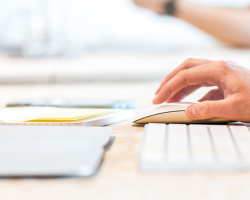 D&B insights | Top 15 Wooden Toy Manufac turers in China for 2024